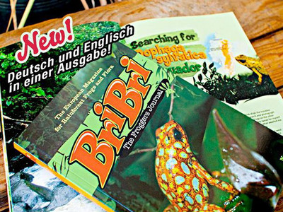 BriBri - The Froggers Journal No. 1